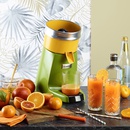 Citrus juicer 38
