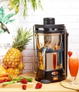 Santos juicer 50