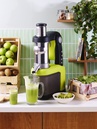 Cold Press Juicer Nutrisantos 65