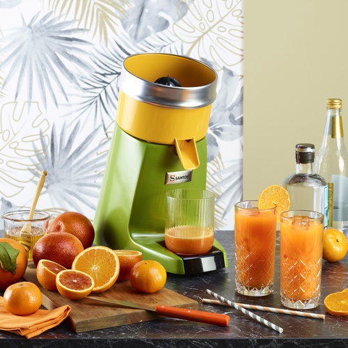 Citrus juicer 38